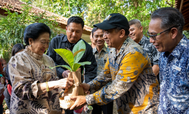 Berkunjung ke Wanagama, Megawati Diberi Tanaman Jatimega